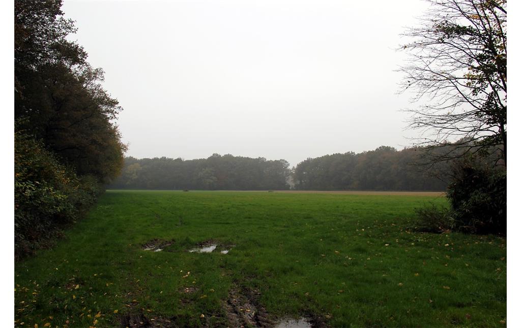 Von Wald umgebene Grünlandfläche an der Holländischen Straße in Uedem-Uedemerbruch (2012)
