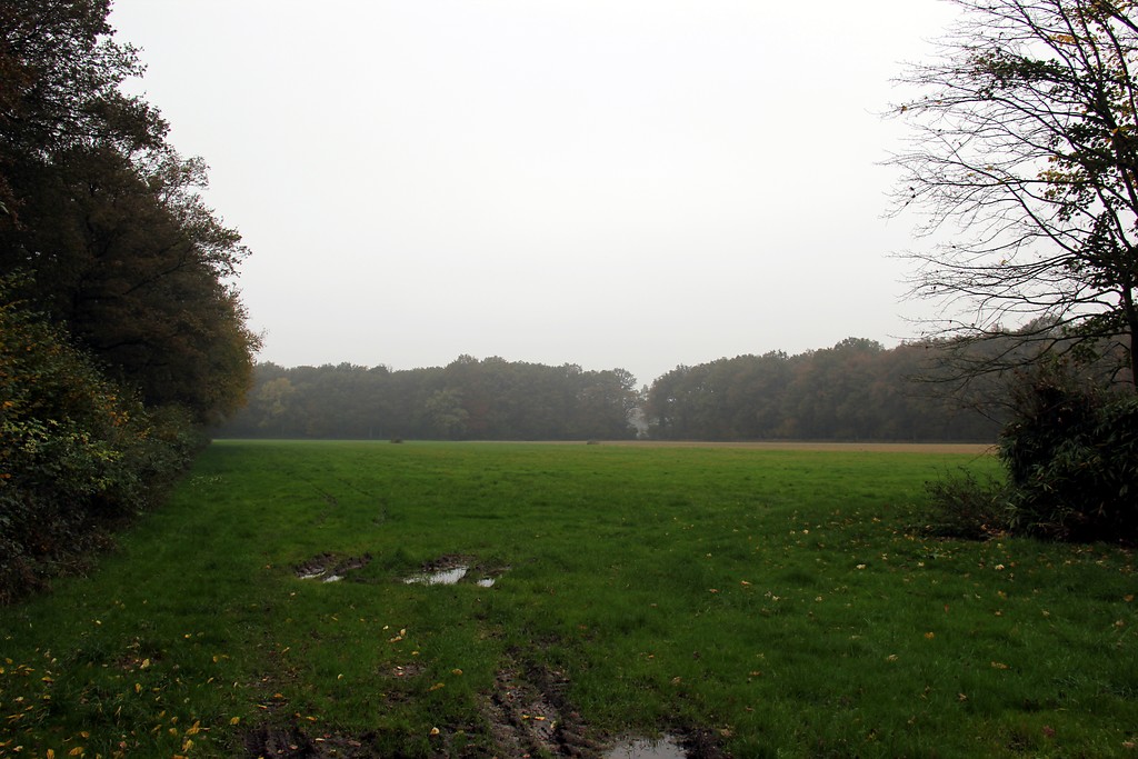 Von Wald umgebene Grünlandfläche an der Holländischen Straße in Uedem-Uedemerbruch (2012)