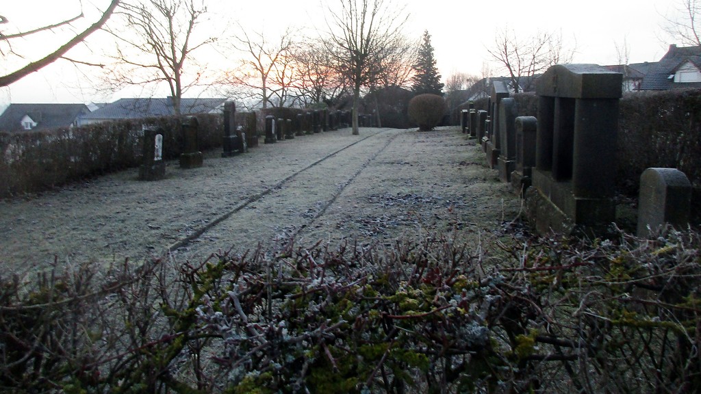 Jüdischer Friedhof in Niedermendig, Blick von Norden auf das Gräberfeld (2018)