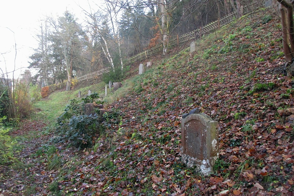 Jüdischer Friedhof am Ruppenberg in Schleiden (2016): Der Begräbnisplatz liegt in einem steilen Hang.