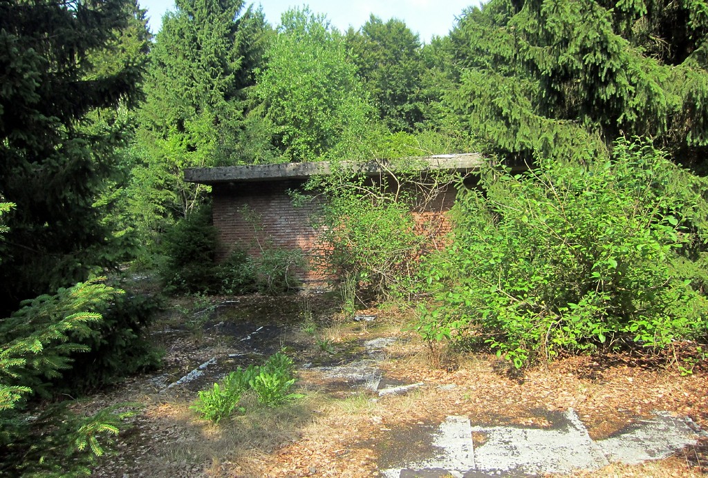 Außenansicht auf dem oberen Geschoss der Ruine der sogenannten "Adenauervilla" (2015).