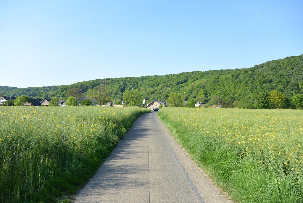 Eine landwirtschaftliche Fläche mit querendem Weg südöstlich von Sinzig-Bad Bodendorf (2014)