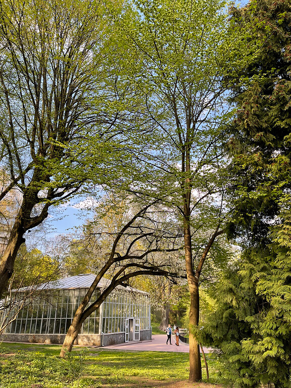 Botanical garden in Stryiskyi Park in Lviv (2022)