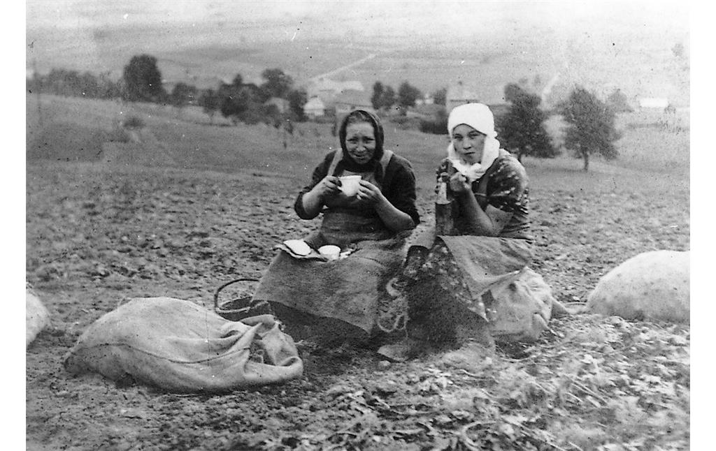 Bäuerinnen bei der Frühstückspause während der Kartoffelernte in Bereborn, nahe Kelberg (1935)