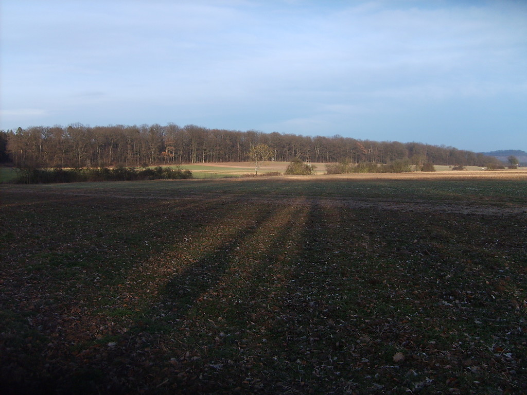 Ackerflächen in der Klosterlandschaft Maulbronn (2012)