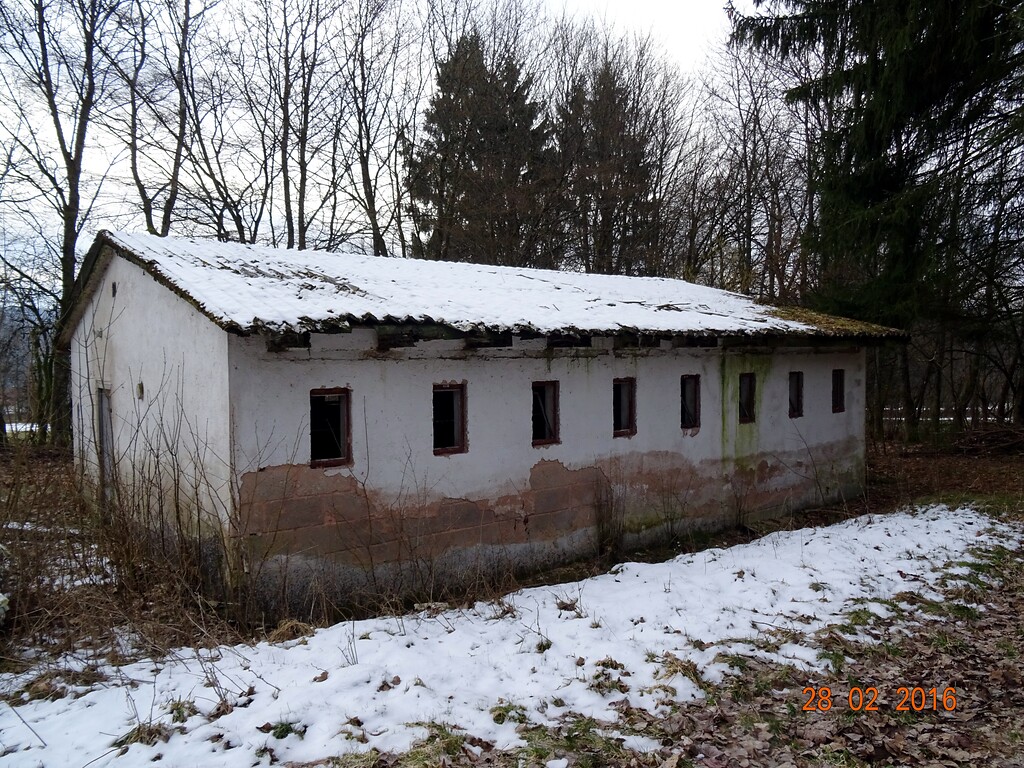 Verlassenes Wirtschaftsgebäude in Börfink (2016). Das Haus liegt versteckt zwischen Laubbäumen auf einem Grundstück, welches über einen Privatweg zu erreichen ist.