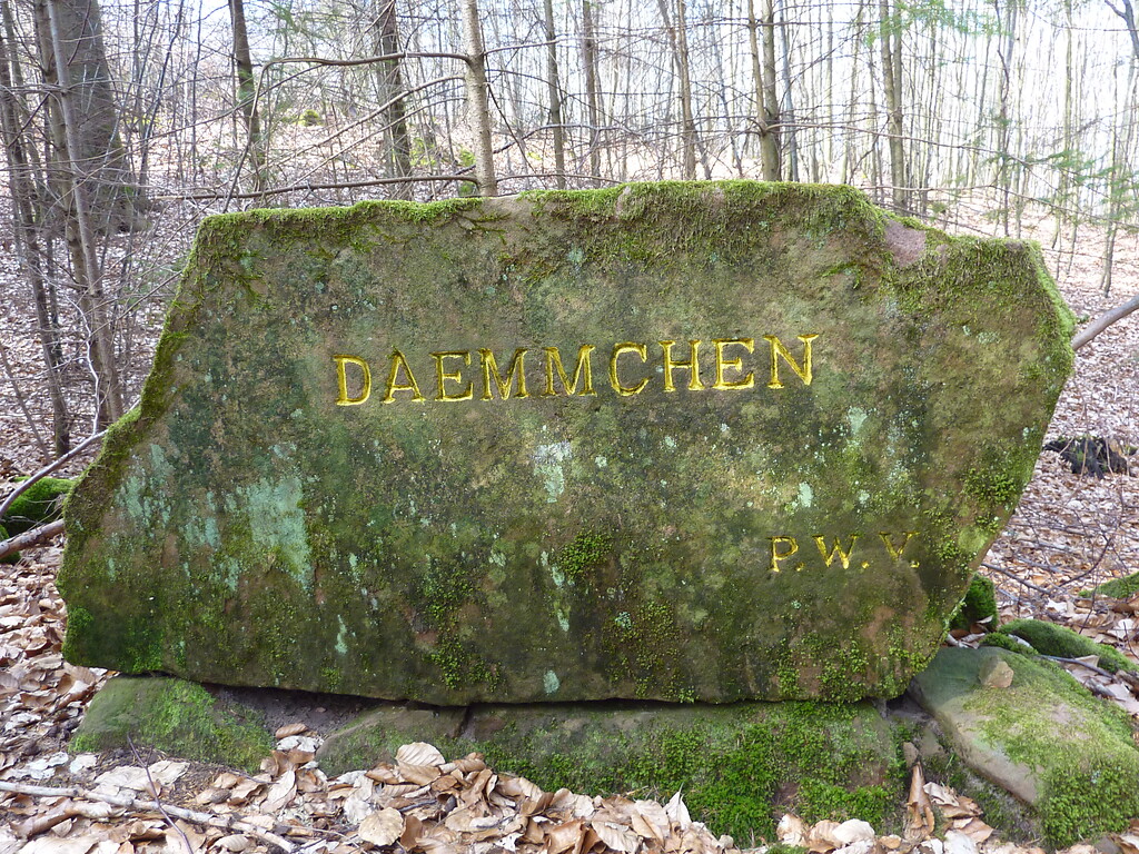 Ritterstein Nr. 117 Daemmchen bei Waldleiningen (2014)