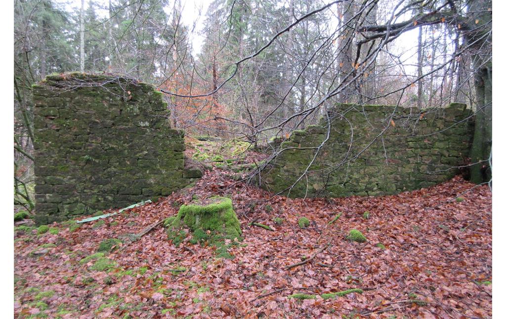 Ruine Forsthaus Siebenteil nahe der Alschbächelquelle (2019)