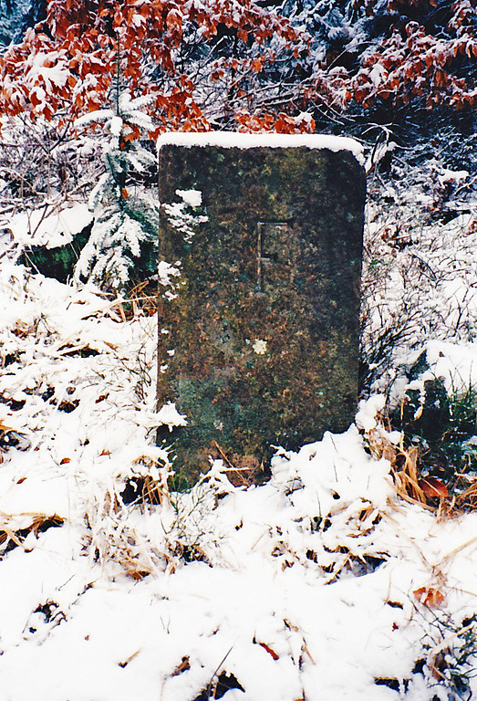 Das Foto zeigt einen der drei Grenzsteine auf die Ritterstein Nr. 85 "An Den Drei Steinen" hinweist. Auf der Westseite des Grenzstein ist ein F für Falkenburg/Frankenweide eingemeißelt (1997).