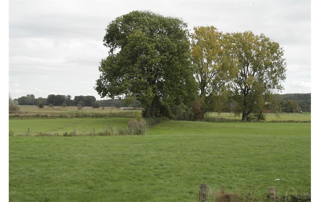 Das Labbecker Leytal mit Grünland und einer Baumreihe entlang der Hohen Ley (2014).