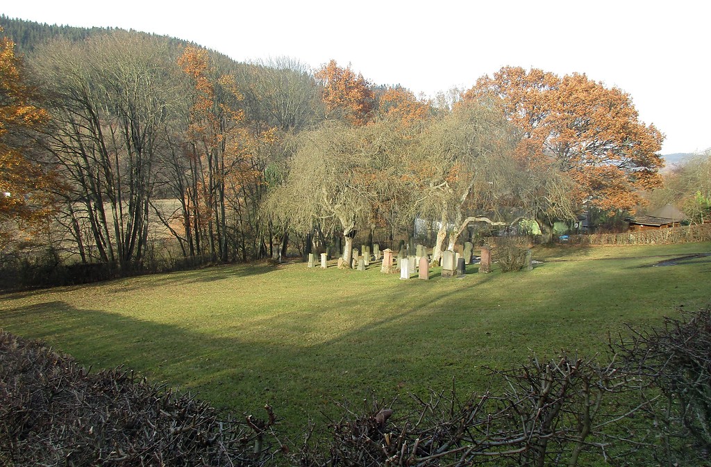 Gesamtansicht des jüdischen Friedhofs am Zengelsberg in Hellenthal-Blumenthal (2016).