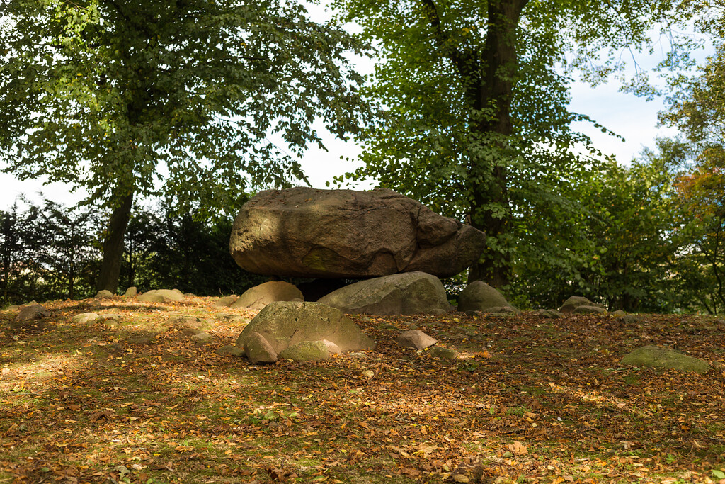 Fotoaufnahme des Großsteingrabs "Brutkamp", Herbst 2019