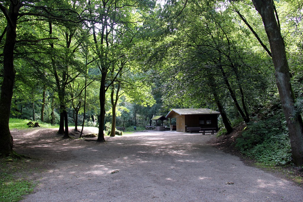 Grillplatz und Schutzhütte im Naturpark Worm-Wildnis bei Herzogenrath (2016)
