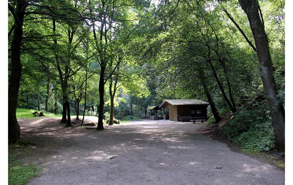 Grillplatz und Schutzhütte im Naturpark Worm-Wildnis bei Herzogenrath (2016)