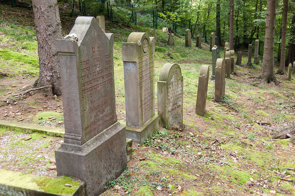 Blick über den jüdischen Friedhof im Queckenwald in Bad Münstereifel. Zu sehen sind Reihen mit Grabsteinen (2014).
