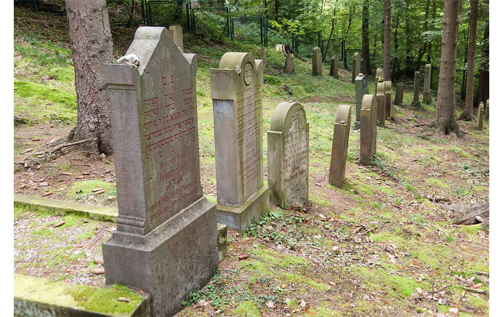 Blick über den jüdischen Friedhof im Queckenwald in Bad Münstereifel. Zu sehen sind Reihen mit Grabsteinen (2014).