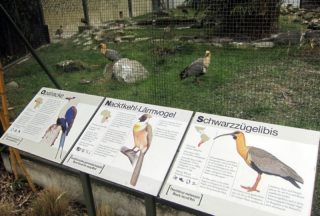 Vogelvoliere mit erläuternden Tafeln im Kölner Zoo (2013).