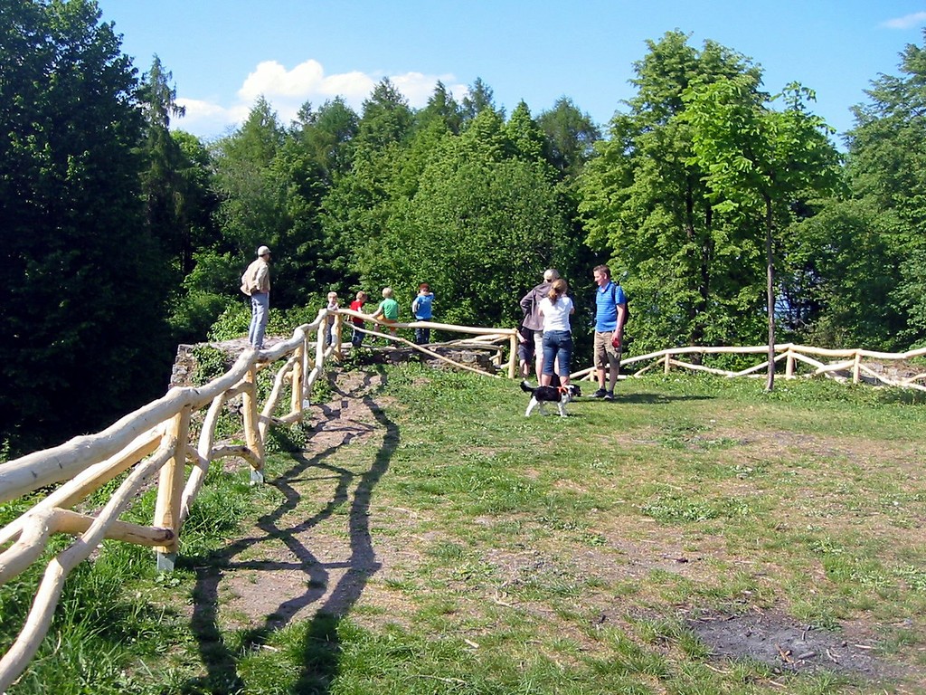 Das Gelände der Burgruine Rosenau (2011).