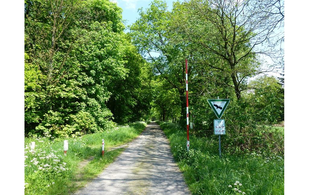 Zugang zum Dämmerwald im Bereich "Zum Kuhschott" (2012)