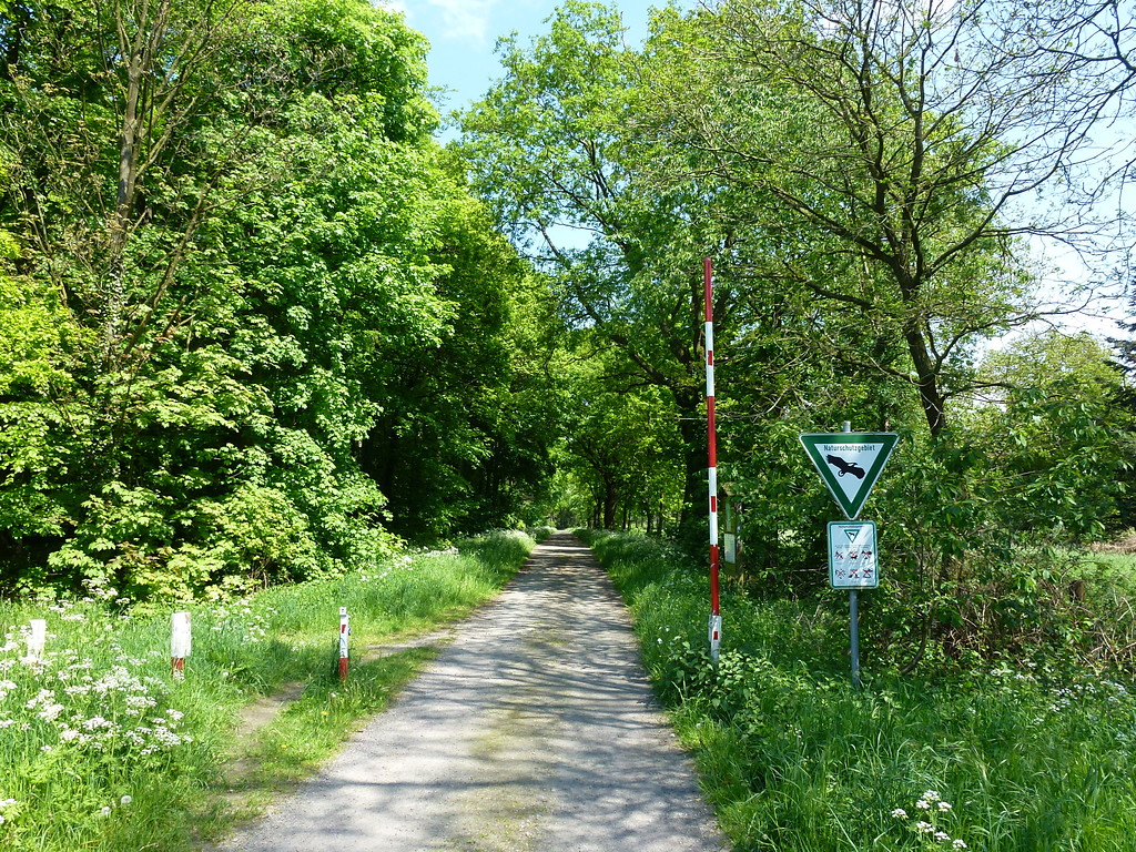 Zugang zum Dämmerwald im Bereich "Zum Kuhschott" (2012)