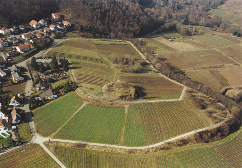 Überblick zur Burgstelle Geisberg bei Burrweiler (2001)