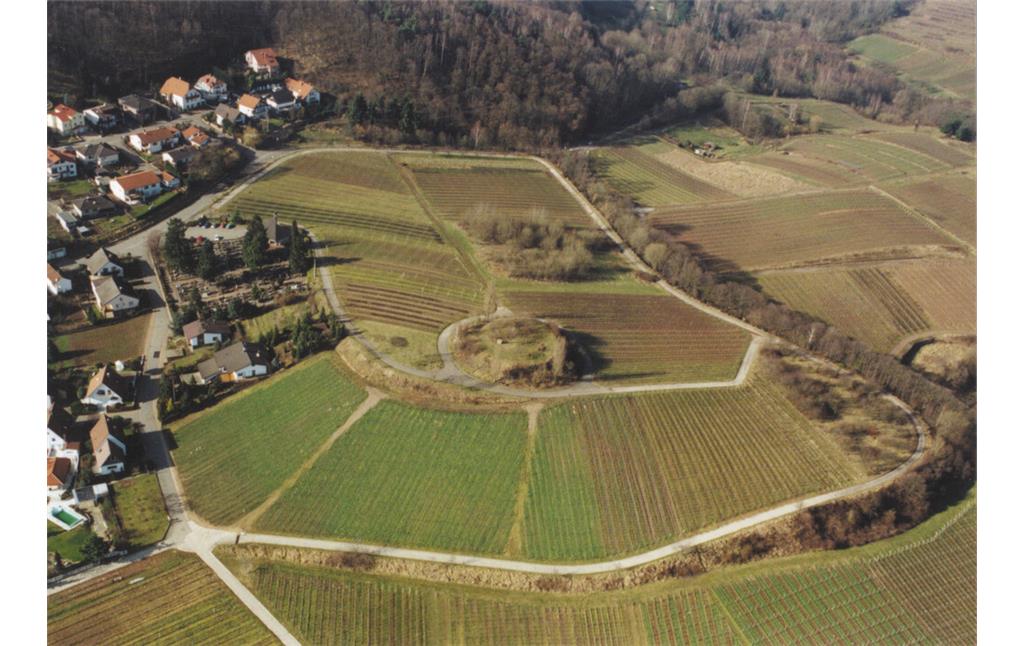 Überblick zur Burgstelle Geisberg bei Burrweiler (2001)