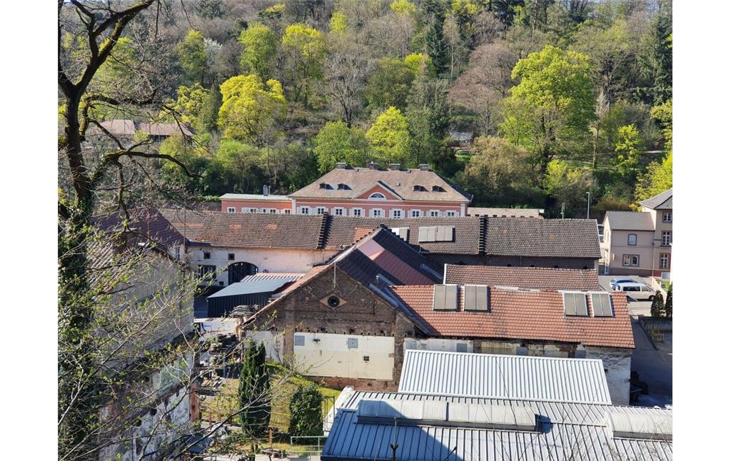 Blick über das Eisenwerk Gienanth in Eisenberg. Im Hintergrund befindet sich das rosafarbene Herrenhaus Gienanth (2020)
