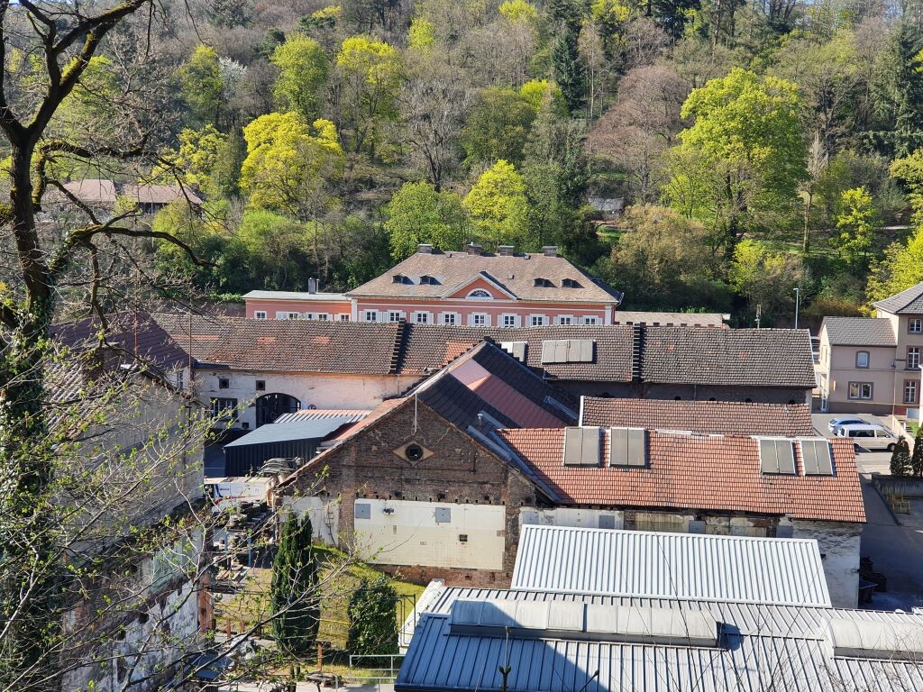 Blick über das Eisenwerk Gienanth in Eisenberg. Im Hintergrund befindet sich das rosafarbene Herrenhaus Gienanth (2020)