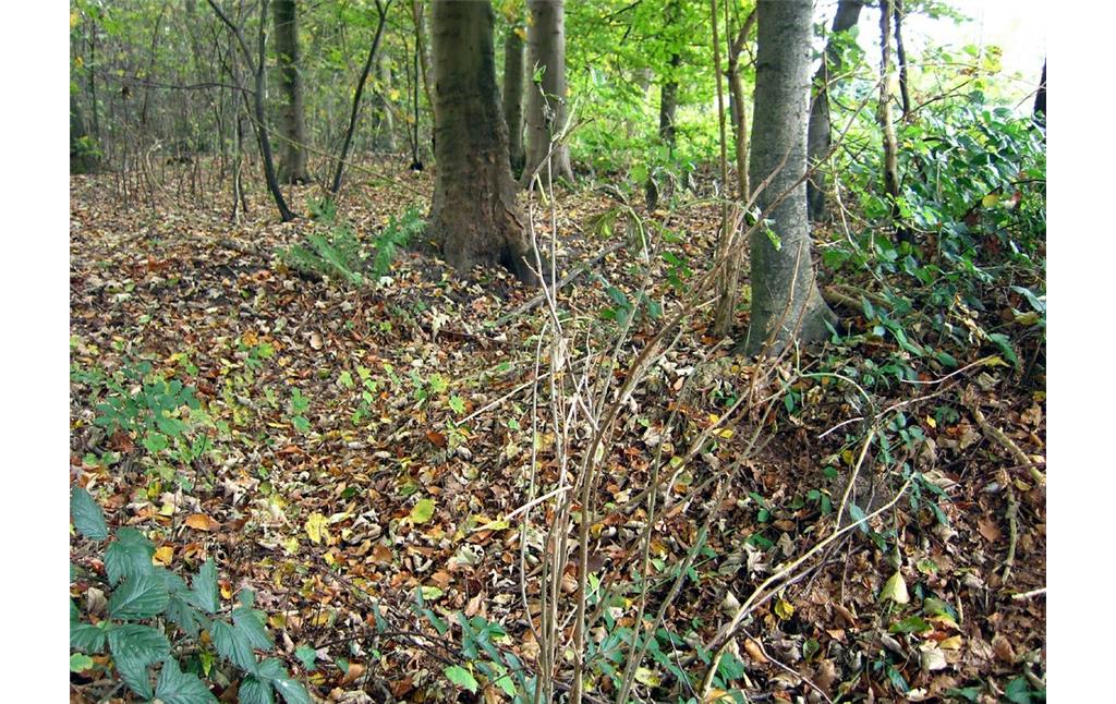 Splittergräben im Forstwald (2011)