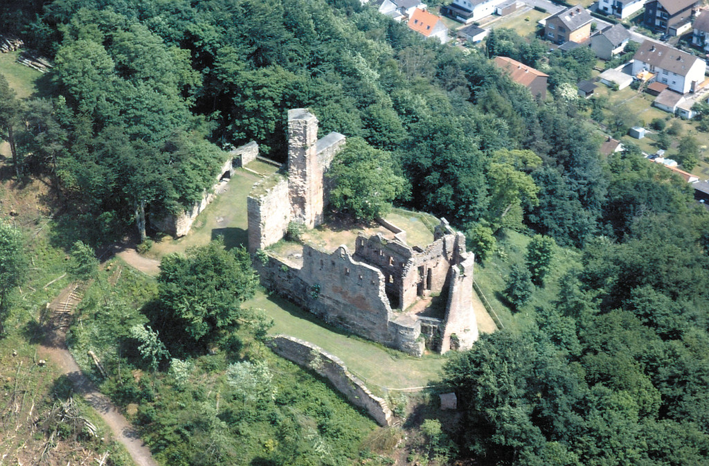 Burgruine Hohenecken auf dem Schloßberg bei Kaiserslautern (2008)