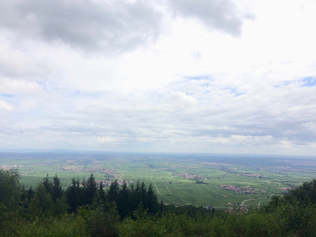 Aussicht vom Wetterkreuz auf dem Teufelsberg in Burrweiler (2017)