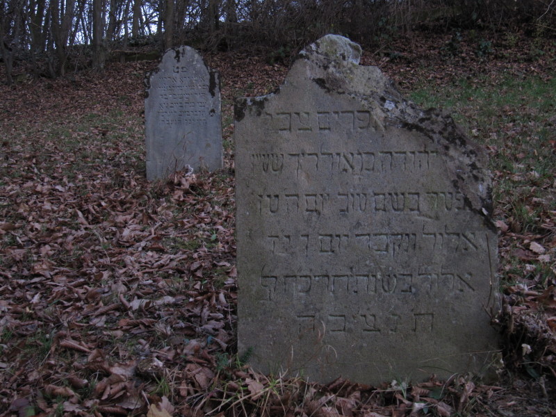 Grabsteine auf dem jüdischen Friedhof am Ehrlichsberg in Miehlen (2012).
