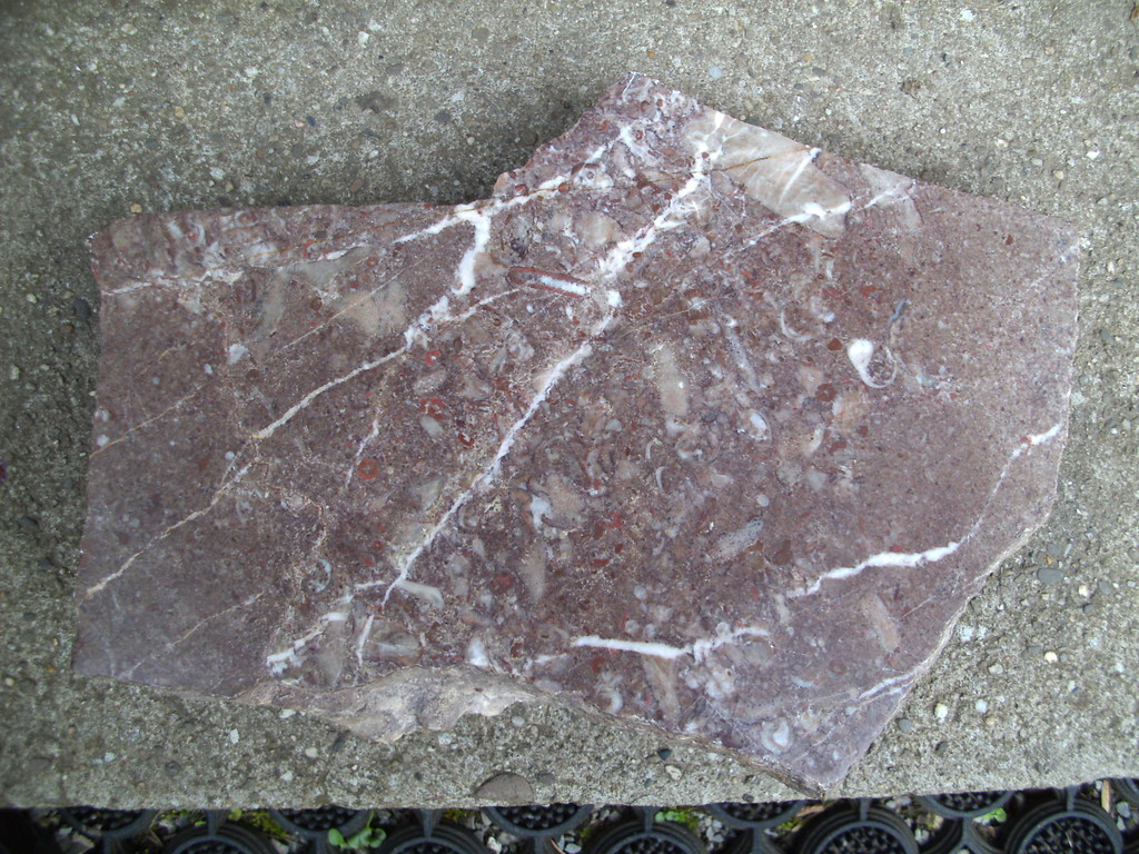 Marmorblock mit Resten von Fossilien, Marmorsteinbruch bei Kall-Urft (2010)
