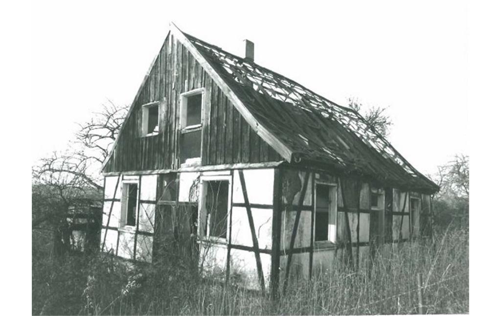 Schäferkotten Rennecke in Essen-Schuir (1985).