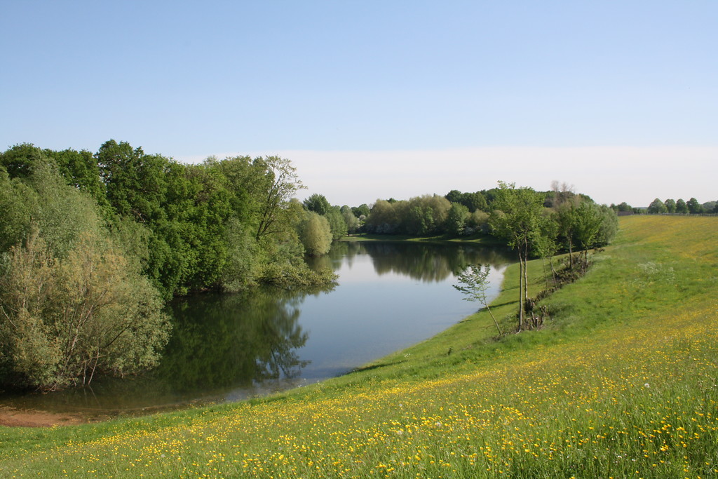 Naturschutzgebiet Droste Woy bei Wesel-Bislich (2016).