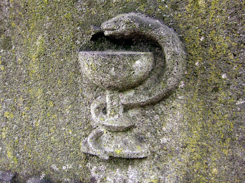 Äskulapstab als Ornament am Grabmal der Apothekerfamilie Uhles auf dem Kirchhof an St. Audomar in Frechen (2013)