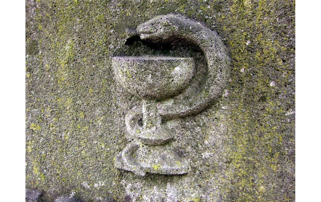 Äskulapstab als Ornament am Grabmal der Apothekerfamilie Uhles auf dem Kirchhof an St. Audomar in Frechen (2013)