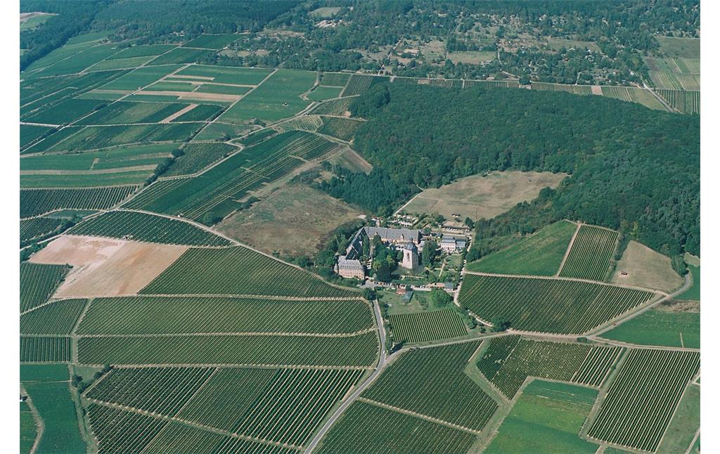 Weinbaulandschaft Vollrads