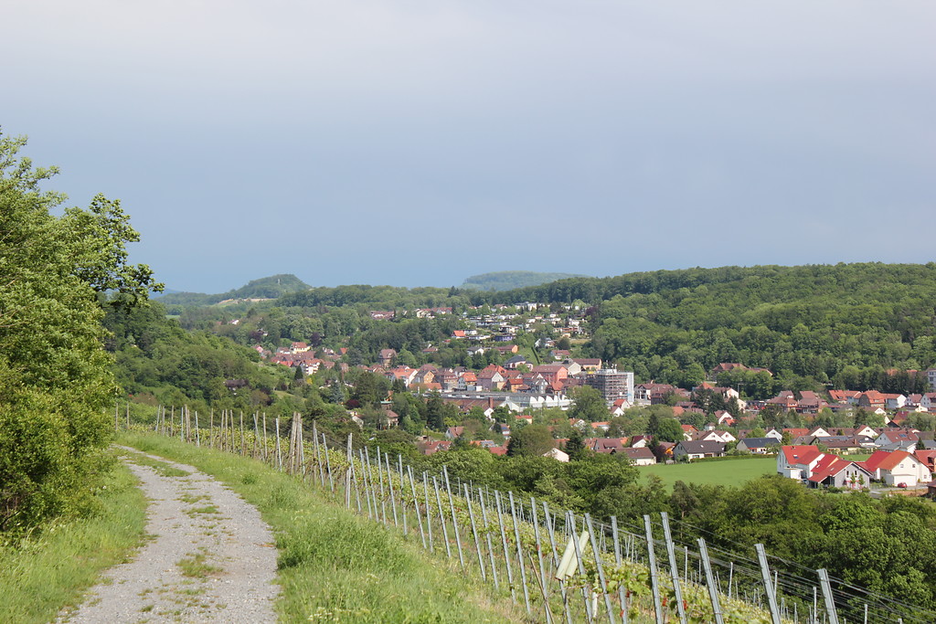 Blick auf die Stadt Maulbronn im Enztal von Nordwesten aus gesehen (2012).