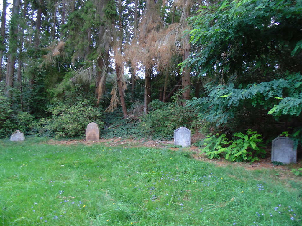 Jüdischer Friedhof Bleibuir, Blick über das Gräberfeld mit vier erhaltenen Grabstätten (2020).