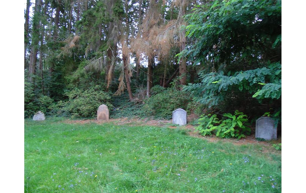 Jüdischer Friedhof Bleibuir, Blick über das Gräberfeld mit vier erhaltenen Grabstätten (2020).