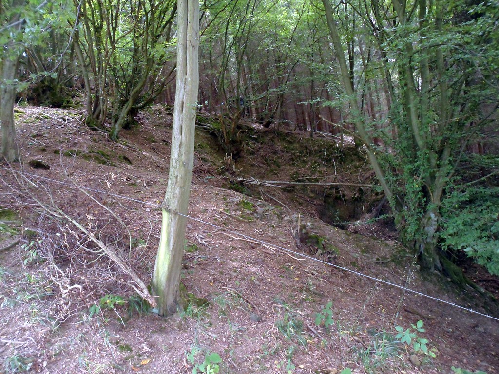 Oberer Stollen der Grube Silberseifen im Walbachtal bei Roßbach (2014).