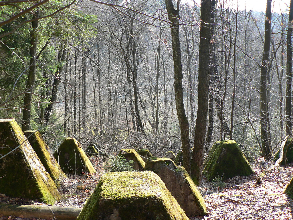 Panzersperre über den Grölisbach bei Roetgen (2009)