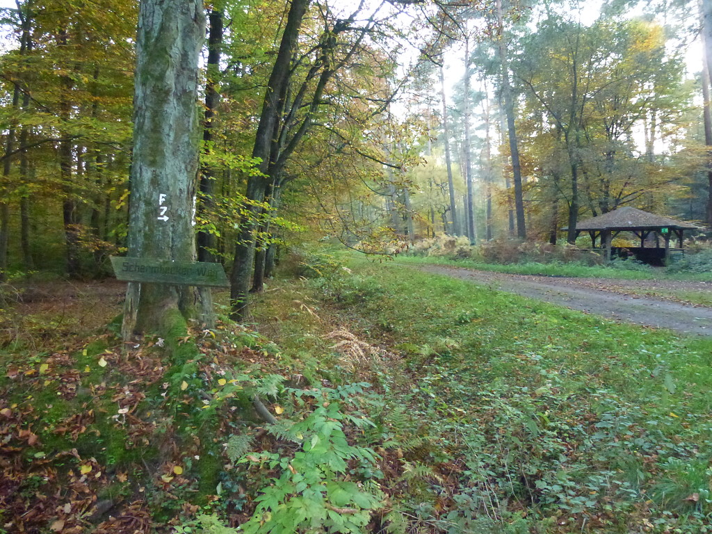Schutzhütte beim Jakobsbrunnen im Dämmerwald (2012)