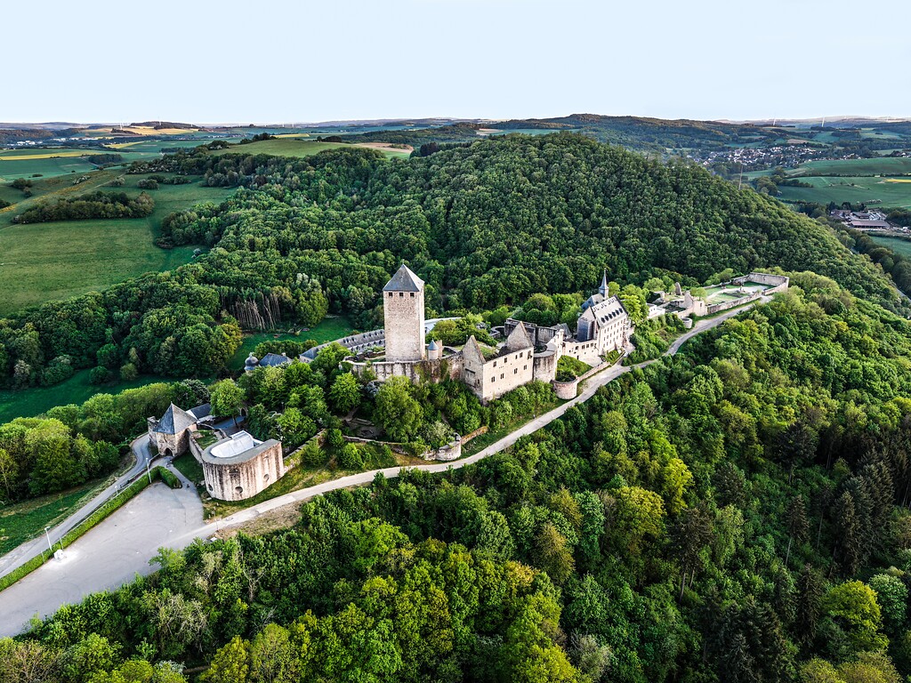 Burg Lichtenberg bei Thallichtenberg (2020)