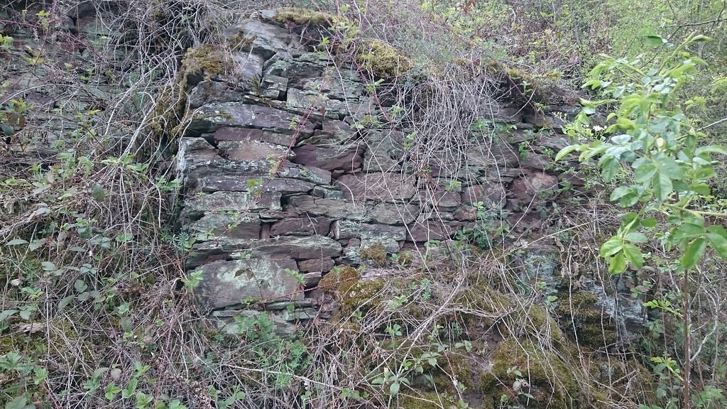 Trockenmauer einer brachgefallenen Weinbergterrasse im Calmont (2017)