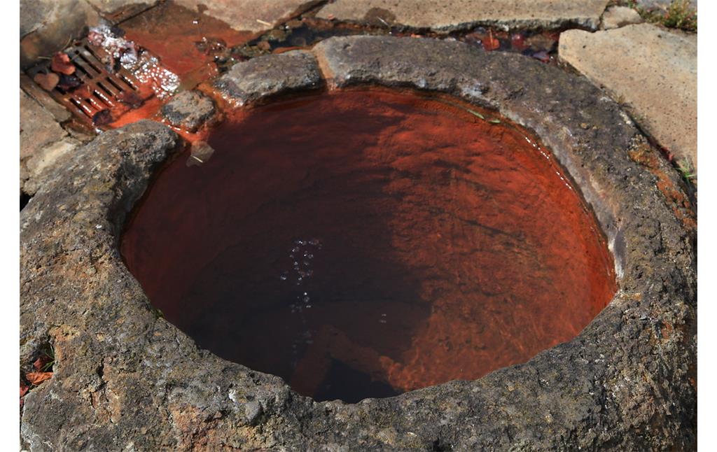 Die aufgrund ihres hohen Eisengehalts rötlich gefärbten Ablagerungen des Mineralwassers der Kohlensäurequelle Bodenbacher Drees (2011).