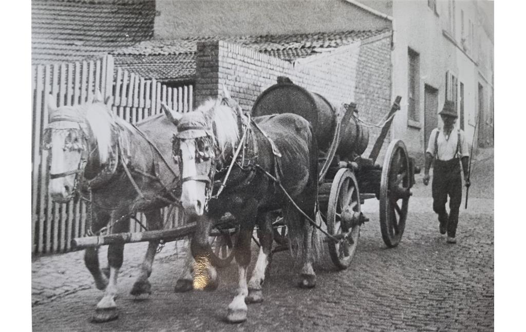 Peter Böhm mit Pferdegespann (1930er Jahre)