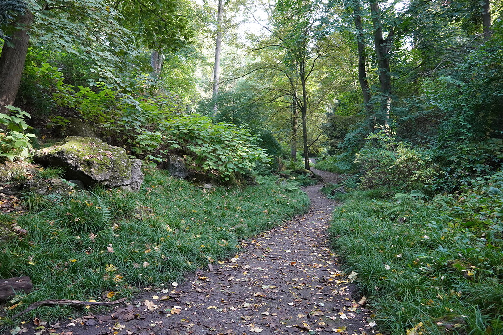 Blick auf einen Weg im Felsengarten in Köln (2021).