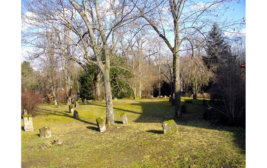 Grabsteine auf dem Denkmalfriedhof am "Judensand" in Mainz (2015)